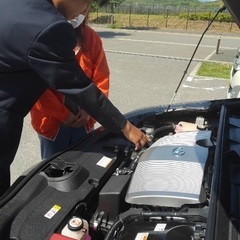 来月から車の運転を教えて欲しい