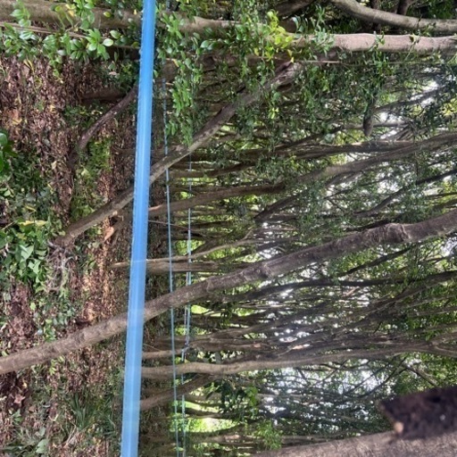 薪☆広葉樹のみ☆端材☆軽トラ1台積み放題☆乾燥済