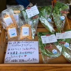 初登場のスイーツも販売します！朝市10時〜 − 愛知県