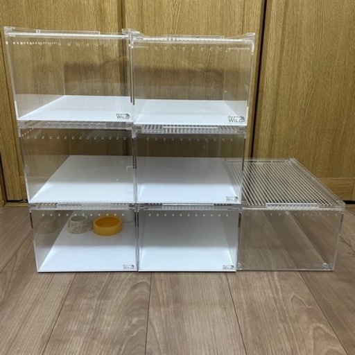 爬虫類飼育ケース