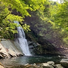 次は7月8-9日＠五竜岳　横浜市北部、川崎市北部にお住まいの方、...