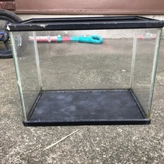 小さなプラスチックの水槽　small plastic aquar...