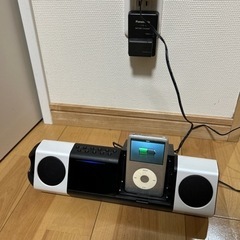 ipod音楽プレイヤー STEEZ AUDIO STZ-D10S 