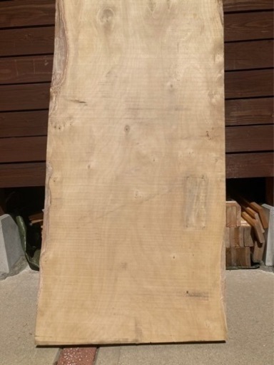 銀杏一枚板① ダイニングテーブルやカウンターなどに