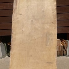 銀杏一枚板① ダイニングテーブルやカウンターなどに