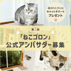 4名様にキャットタワープレゼント！【ねこゴロン公式アンバサダー】