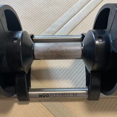 フレックスベル(NUO FLEXBELL) 32Kg 4Kg刻み 可変式ダンベル