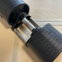 フレックスベル(NUO FLEXBELL) 32Kg 4Kg刻み 可変式ダンベル
