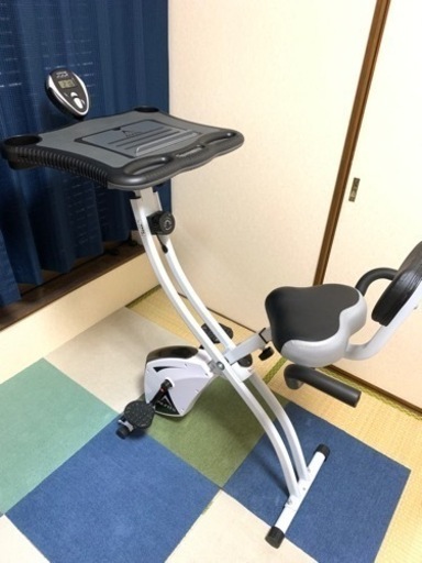 サラサドウダンツツジ/大株【現品発送】管理70445 サラサドウダンツツジ/大株【現品発送】管理70445 - メルカリ