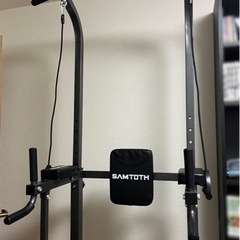 SAMTOTH ぶら下がり健康器 チンニングスタンド 