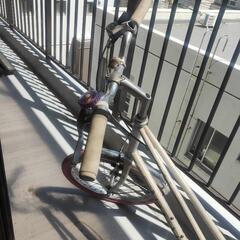 自転車 ミニベロ ビアンキ