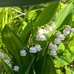 人は財産、友達は宝物、共感して下さる方