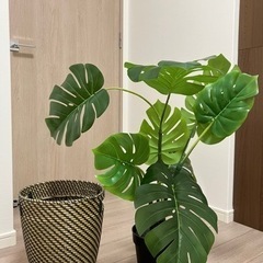 【あげます】IKEA  フェイクグリーン 観葉植物のみ　※鉢カバ...