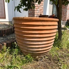 テラコッタ　大型　植木鉢　トスカーナ