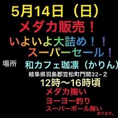 メダカイベント　マルシェ！！！