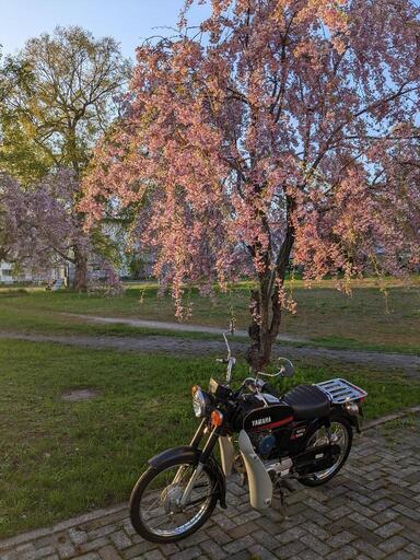 YB50 YAMAHA 2st 4.6馬力 ロータリ式4速 【公式通販】 YB50 YAMAHA 2st 4.6馬力 ロータリ式4速 【公式通販】