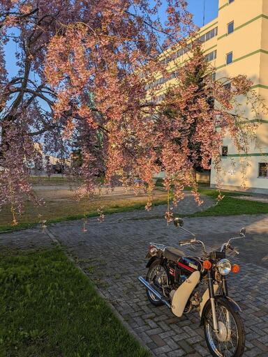 YB50 YAMAHA 2st 4.6馬力 ロータリ式4速 YB50 YAMAHA 2st 4.6馬力