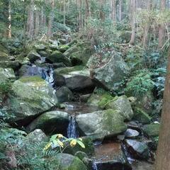 平日の登山仲間募集