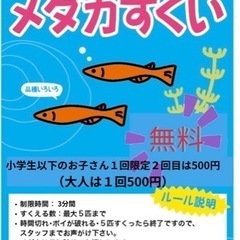 メダカ　すくい　小学生以下のお子さん一回無料(大人500円)