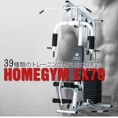 期間限定! ホームジム新品　ファイティングロードEX70