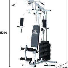 期間限定! ホームジム新品　ファイティングロードEX70