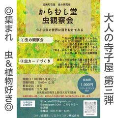 加美町在住の虫研究者「からむし堂」の虫観察会