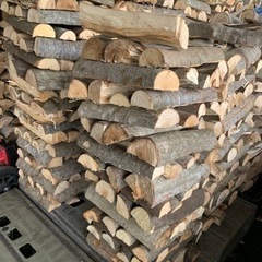 早い者勝ち！残りわずか！薪16,500円/m3 （1立米） 薪ストーブに！