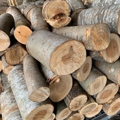 早い者勝ち！残りわずか！薪16,500円/m3 （1立米） 薪ストーブに！