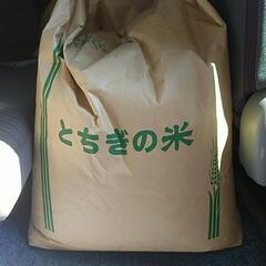 令和４年栃木県佐野市産 お米 玄米 ２０キロ ②