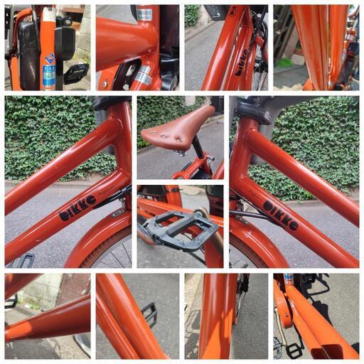 カラーコーデ ビッケ グリ DD 自動充電 24/20型 幼児2人同乗基準適合