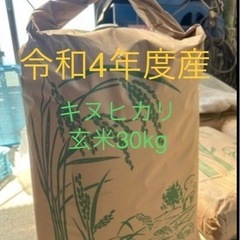 新米　令和4年度産　きぬひかり　玄米　30kg