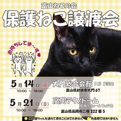 ５月１４日(日)１０時～１５時 保護猫譲渡会♪