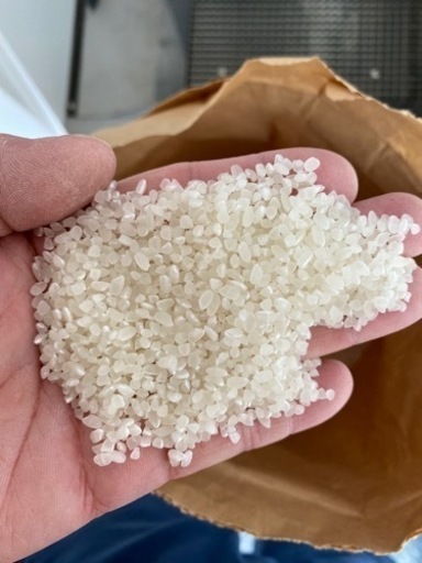 訳あり　令和4年産　コシヒカリ　30kg