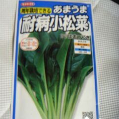 小松菜の種 　