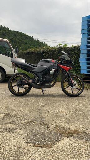ns1 交換希望