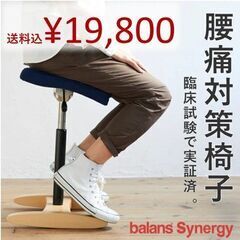【balancs lab】腰痛対策バランスシナジーチェア（スクエ...