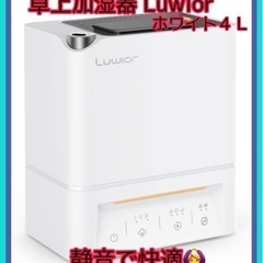 【半額価格】加湿器 卓上 除菌加湿器 第二代 Luwior 4L ホワイト 