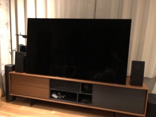 その他 Sony Bravia A1E-series 4K UHD OLED TV (65-inch class, model XBR65A1E)