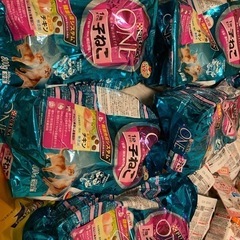 子猫餌 子猫ミルク 子猫ドライフード 猫砂 セット