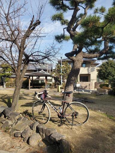 自転車　フェルトZ85