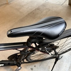 ジャイアント　エスケープRX