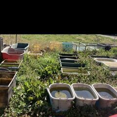 メダカ容器　アクア用品色々