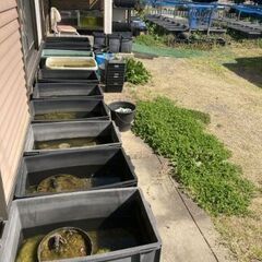 メダカ容器　アクア用品色々