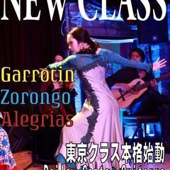 New Class!!1h¥2,000フラメンコ全セクションレッ...