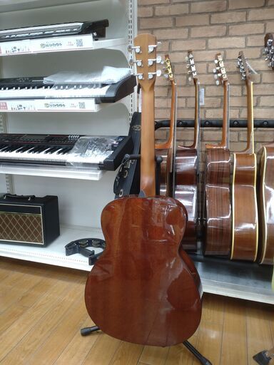 MORRIS アコースティックギター F-020 TS