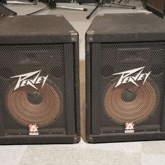 Peavey　スピーカーペア　110TLS