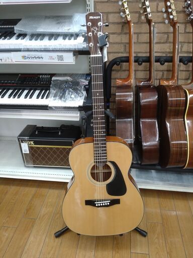 MORRIS アコースティックギター F-01 Ⅱ NAT