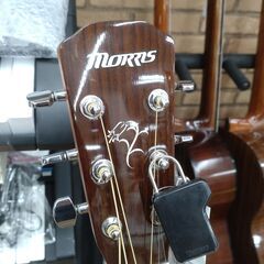 MORRIS アコースティックギター F-01 Ⅱ NAT
