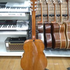 MORRIS アコースティックギター F-01 Ⅱ NAT