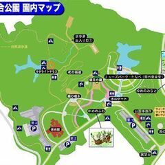 ５月１２日(日)　ラッキーフリーマーケット開催いたします。 - 田辺市